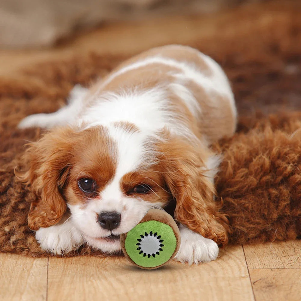 Floroux - Jouet à Mâcher Amusant pour Chiens avec Design de Pastèque pour Soins Dentaires