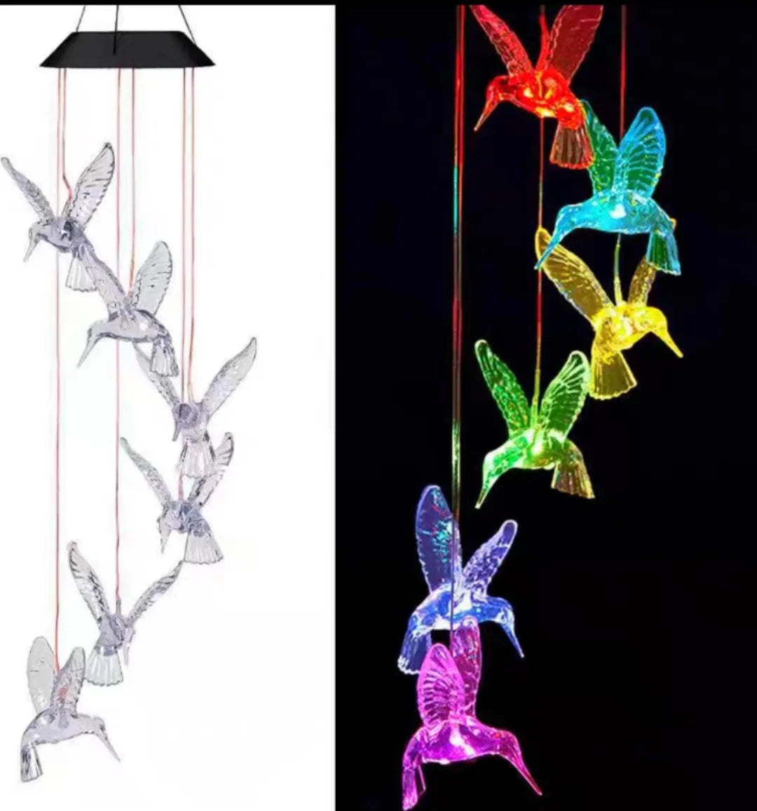 Papillon – Lumière solaire décorative