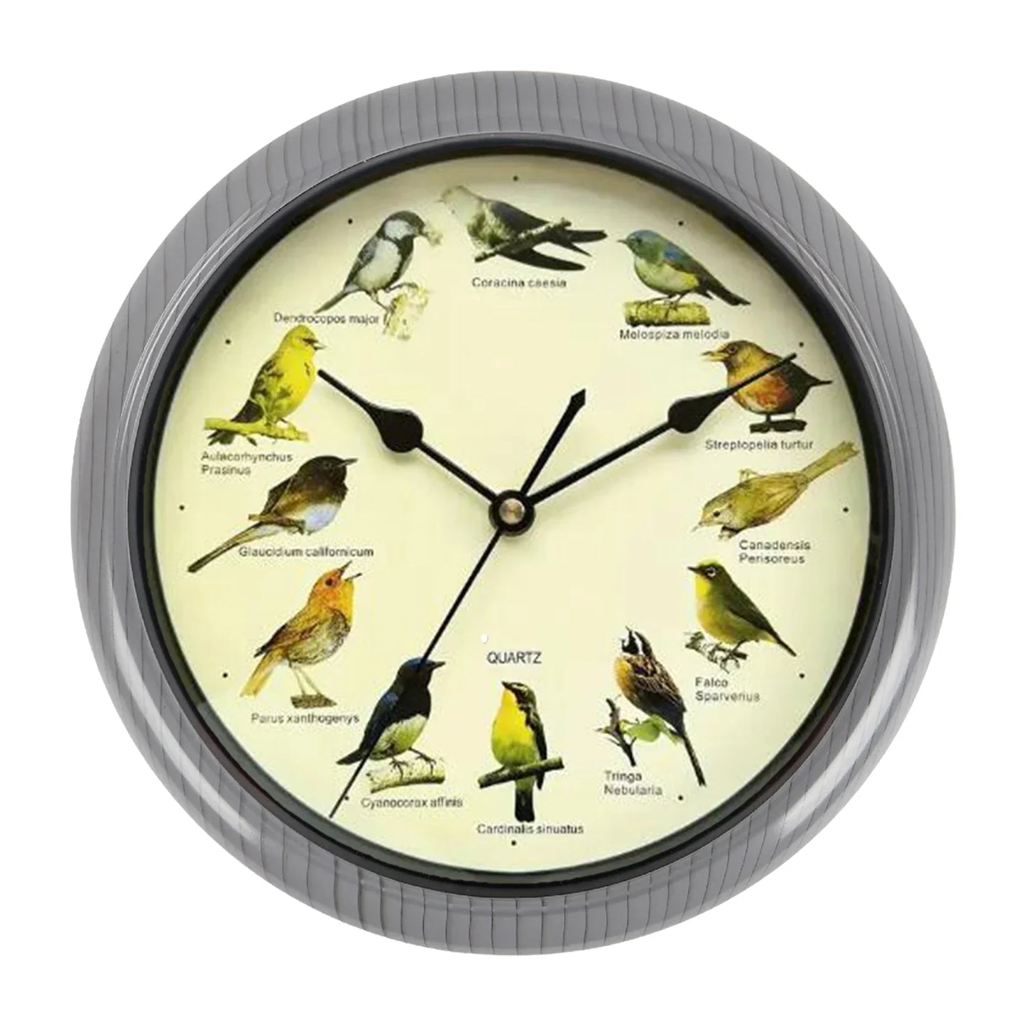 BirdSong Horloge – Horloge Murale de 10 Pouces pour Intérieur Élégant