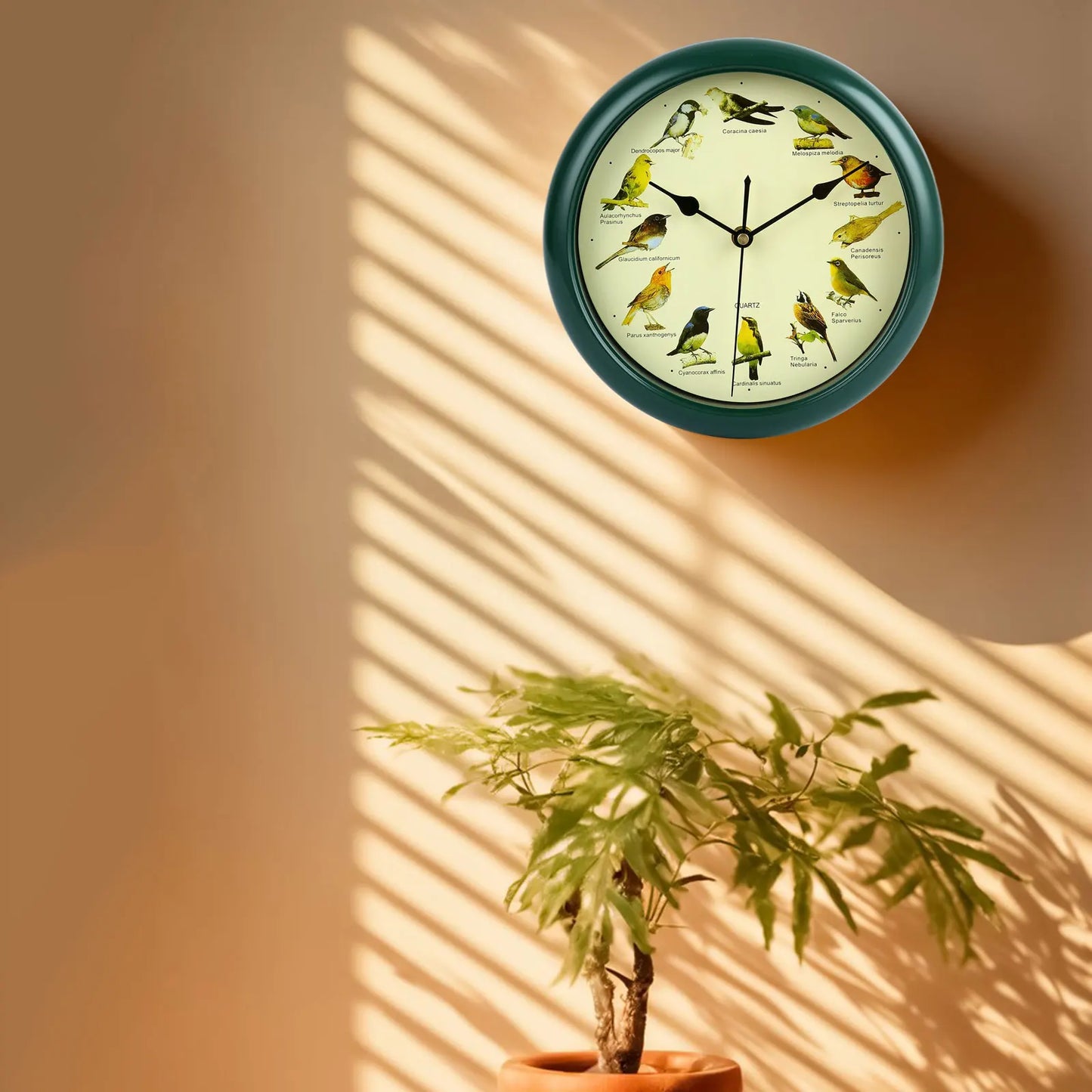 BirdSong Horloge – Horloge Murale de 10 Pouces pour Intérieur Élégant