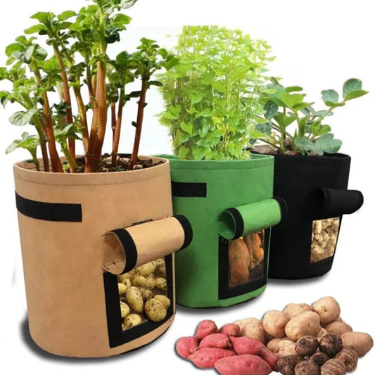 GrowMaster Pots – Pot de culture élégant pour légumes