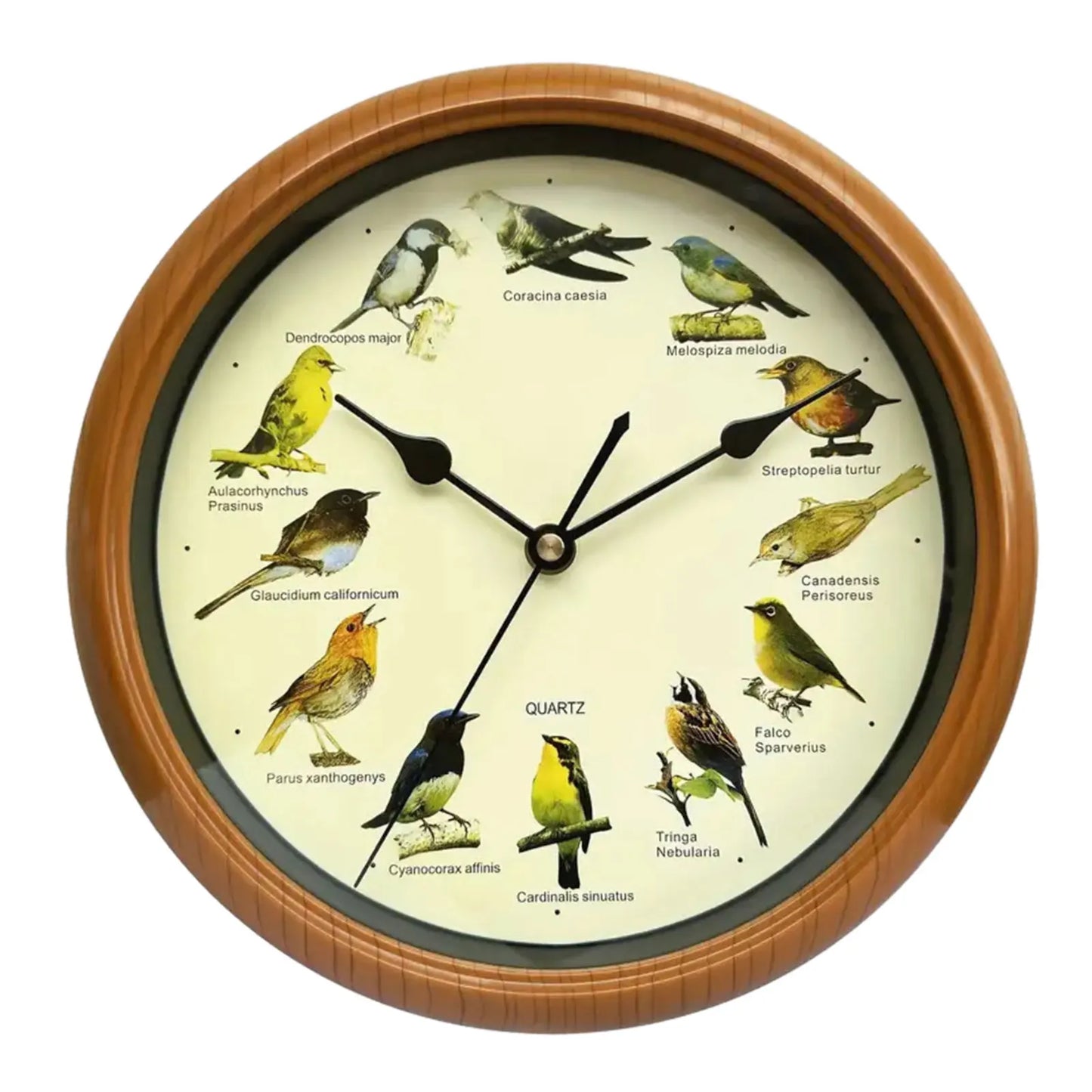 BirdSong Horloge – Horloge Murale de 10 Pouces pour Intérieur Élégant