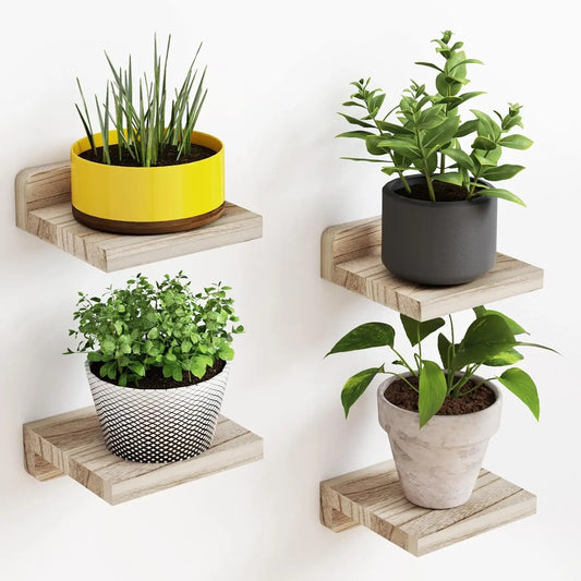 Petites étagères en bois flottant paquet de 4