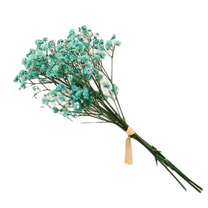 Floroux Dried Natural Gypsophila Flowers | Decorative Dried Flowers | Versatile Home & Event Decor