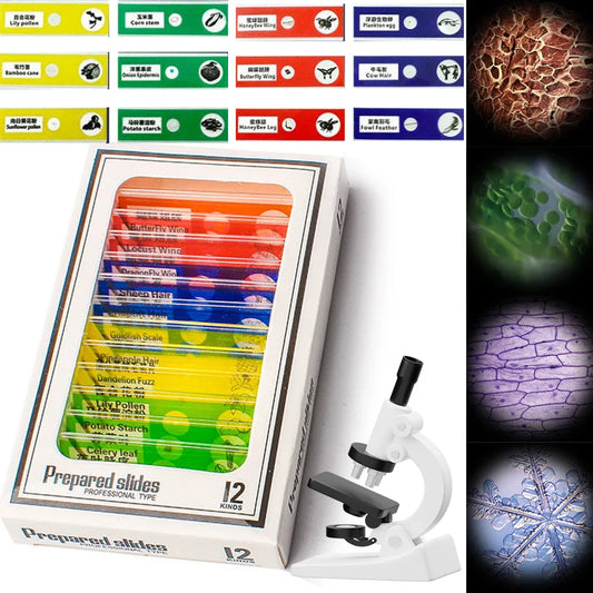 Paires de lames de microscope pour enfants - Spécimens 200MP pour un grossissement de 1000x, jouet éducatif STEM