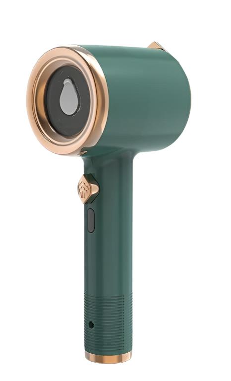 Fer à repasser à vapeur mini portable pour un usage domestique