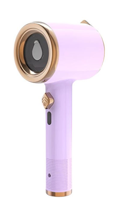 Fer à repasser à vapeur mini portable pour un usage domestique