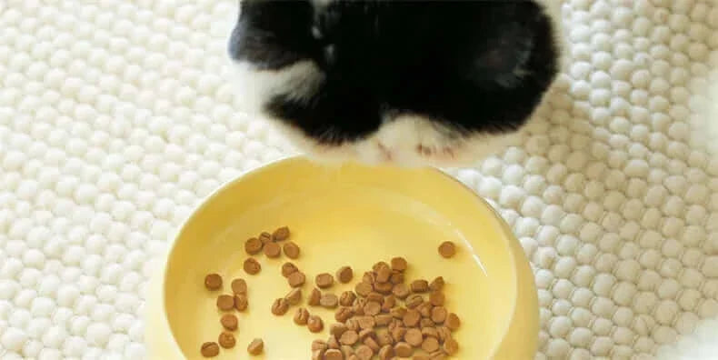 Bol en céramique pour chats avec trois pieds, pour nourriture et eau