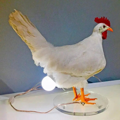 Cocori – Lampe Œuf de Poule LED Décorative