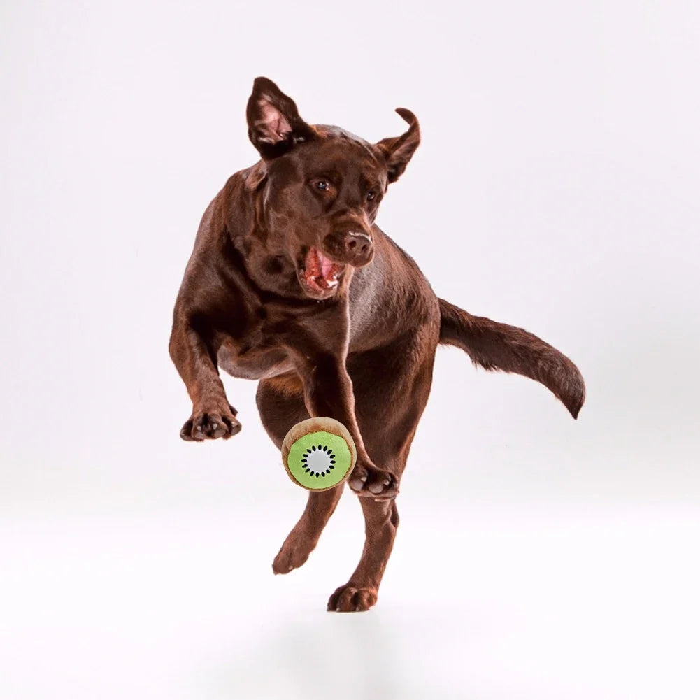 Floroux - Jouet à mâcher amusant pour chiens avec design pastèque pour le soin dentaire