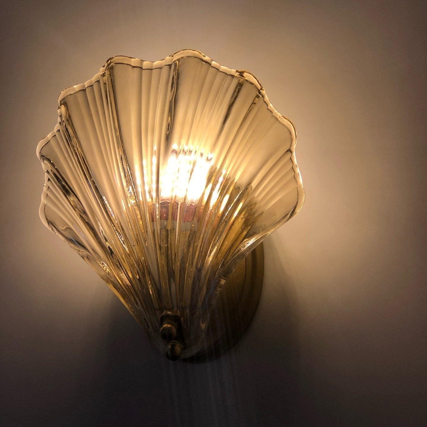 Coquille – Éclairage Doux et Nobre