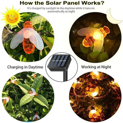 SolarBee – Guirlande lumineuse alimentée par solar pour l'extérieur