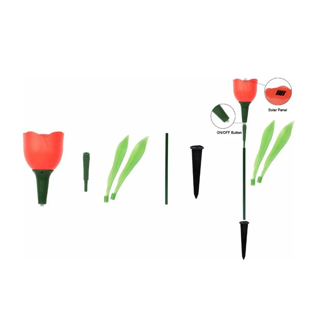 Floroux - Lumières solaires tulipes éclatantes