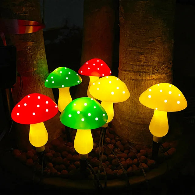 Floroux - Lumière Champignon