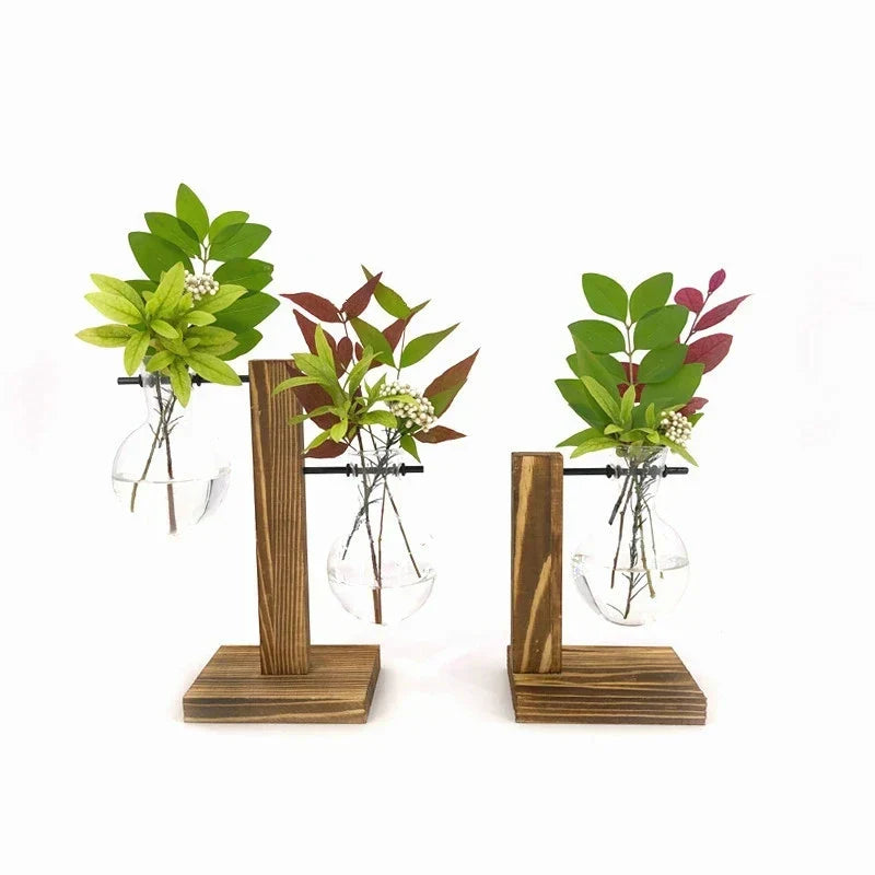 Floroux - Terrarium Vase hydroponique pour plantes