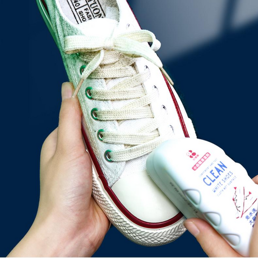 Brosse à chaussures 2-en-1
