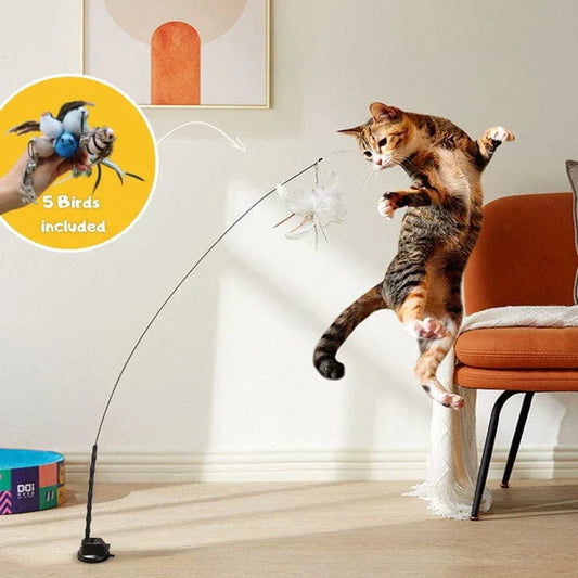 Temps de jeu naturel - Oiseau interactif pour chats