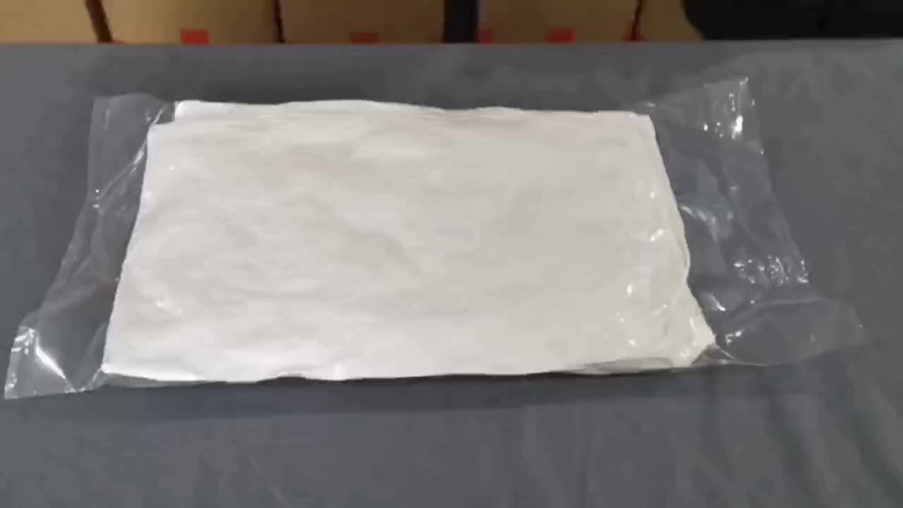 Coussin en plumes d'oie Floroux - Confortable et volumineux, pour hôtel, chambre d'hôtes et usage domestique