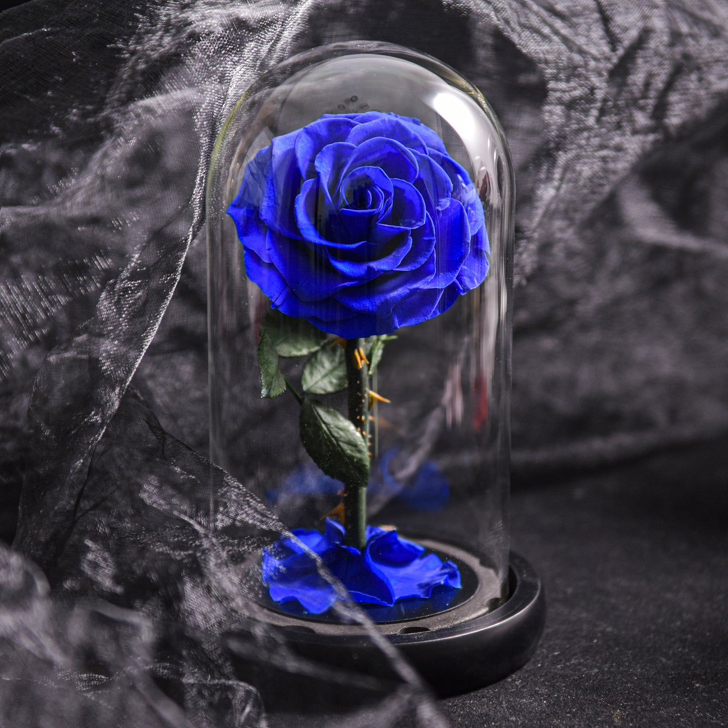 Floroux Eternal Rose in a Glass Dome | Timeless Decorative Rose | Elegant Gift for Any Occasion