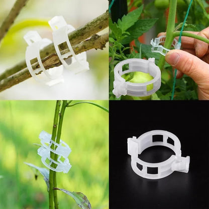 PlantSupport Clips | Améliorez votre expérience de jardinage