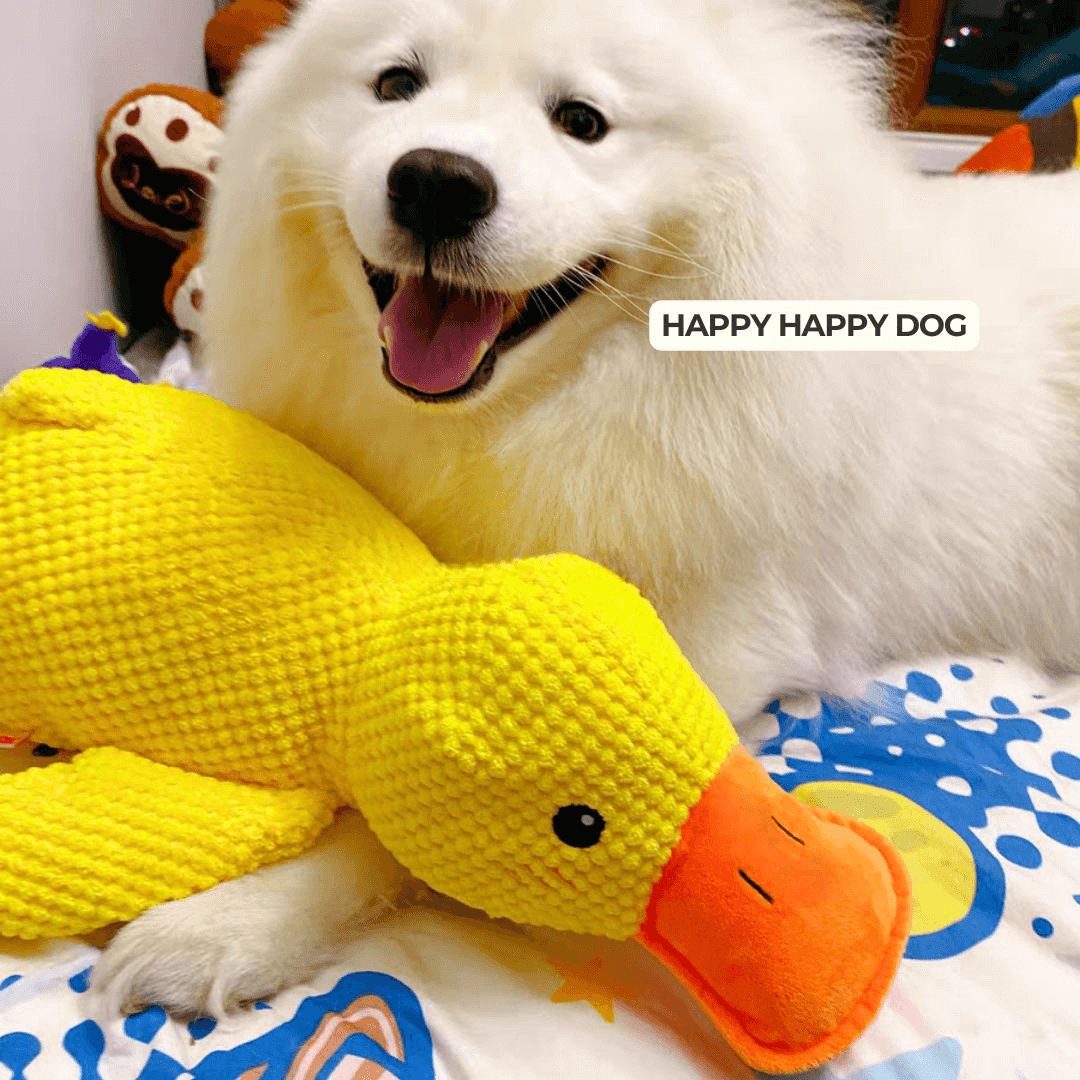 Floroux Calming Duck for Dogs | Stress Relief | Scented Toy | Canine Well-being