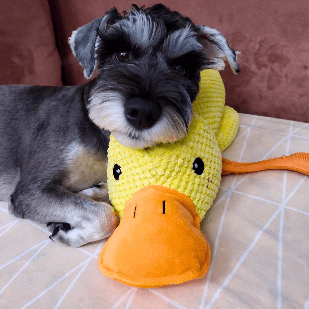 Floroux Calming Duck for Dogs | Stress Relief | Scented Toy | Canine Well-being