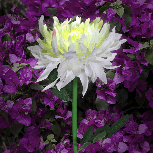Éclairage LED de jardin Floroux avec énergie solaire