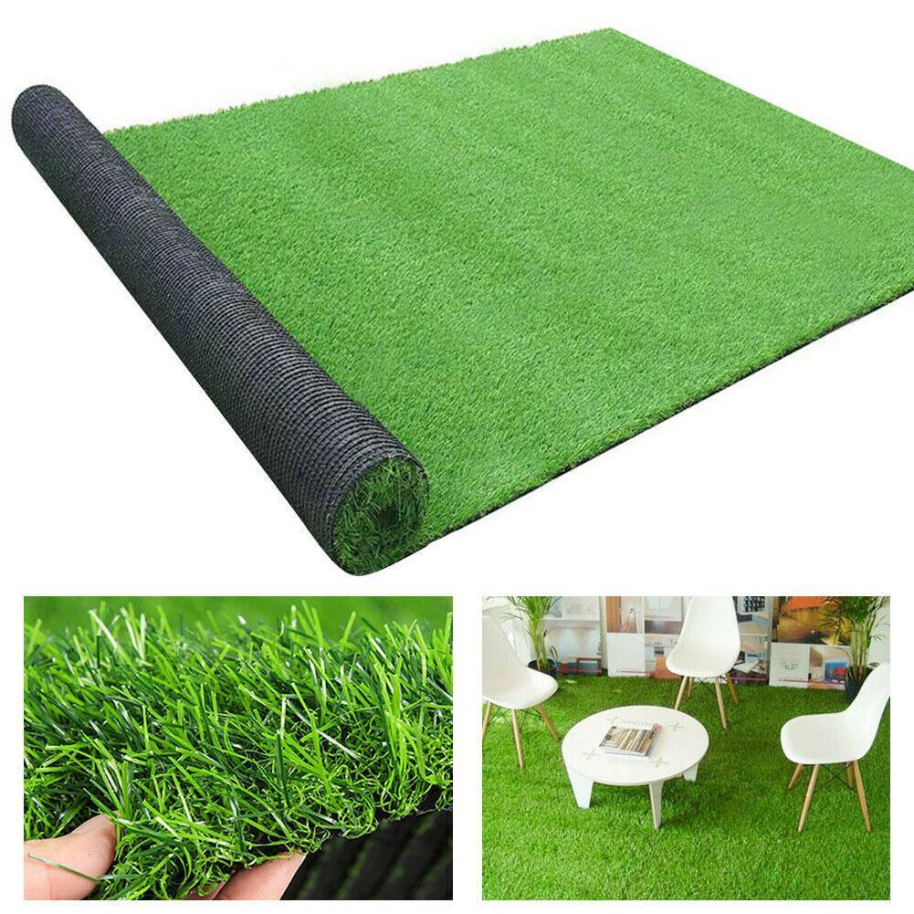 Floroux Plante Tapis de gazon