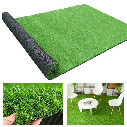 Floroux Plante Tapis de gazon