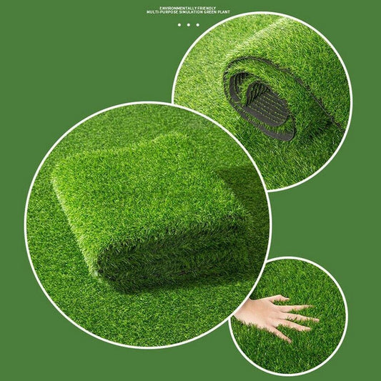 Floroux Plante Tapis de gazon