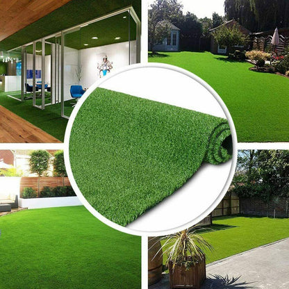 Floroux Plante Tapis de gazon