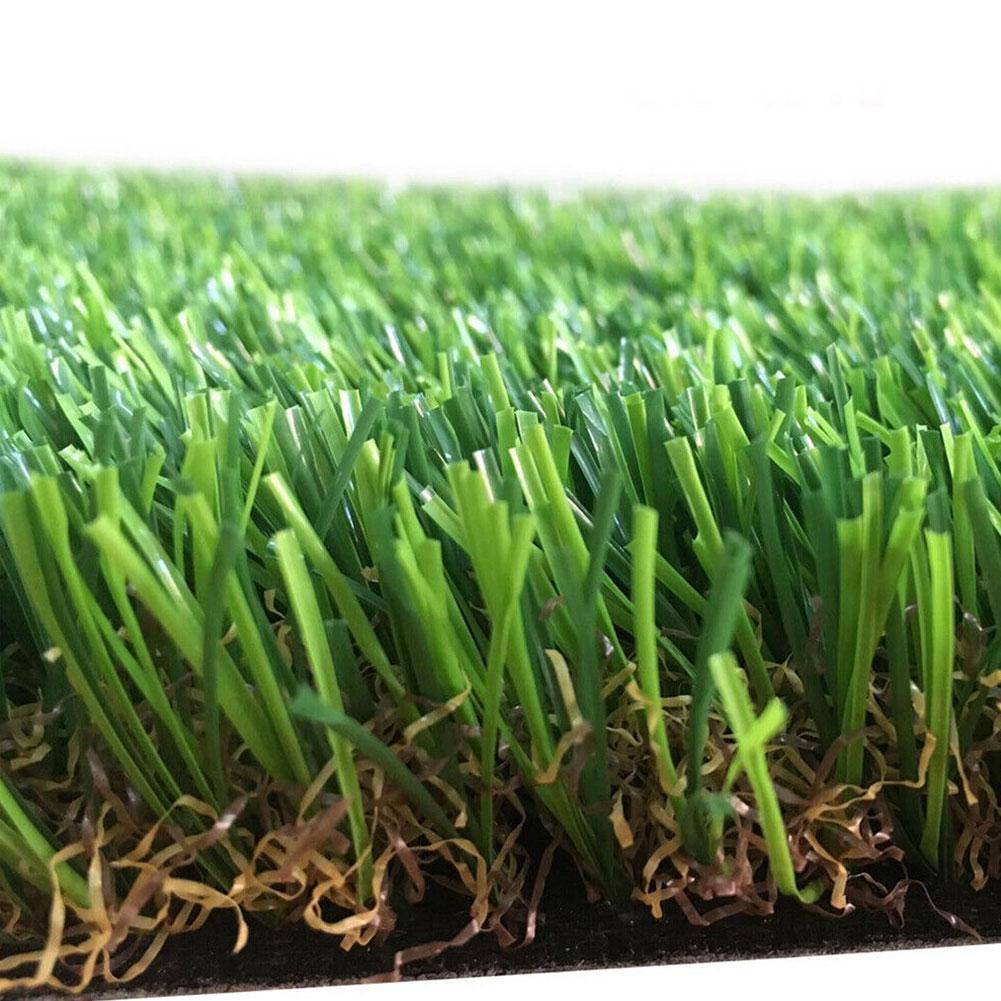 Floroux Plante Tapis de gazon