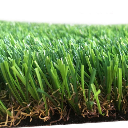 Floroux Plante Tapis de gazon