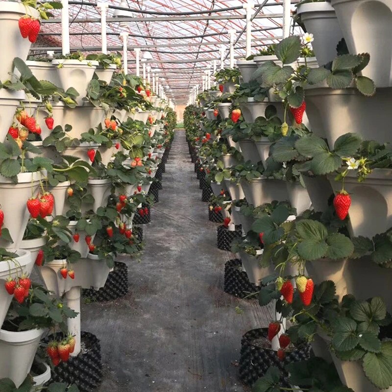 PlantTower | Plus de croissance dans moins d'espace !
