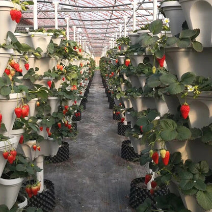 PlantTower | Plus de croissance dans moins d'espace !