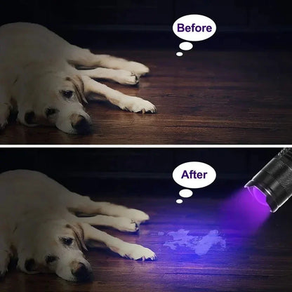 GlowInspect - Lampe UV pour Urine et Taches