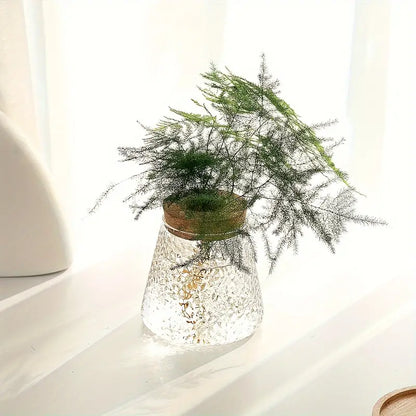 Alberic - Propagateur de plantes en verre écologique