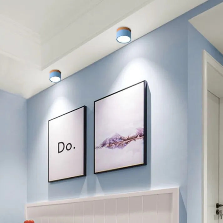 Floroux Cylindre LED Plafonniers pour Couloirs