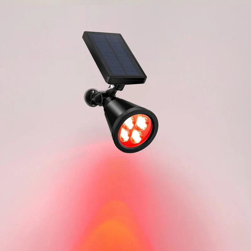 Éclat Racine | Lampe de jardin solaire pour une illumination d'ambiance dans le jardin
