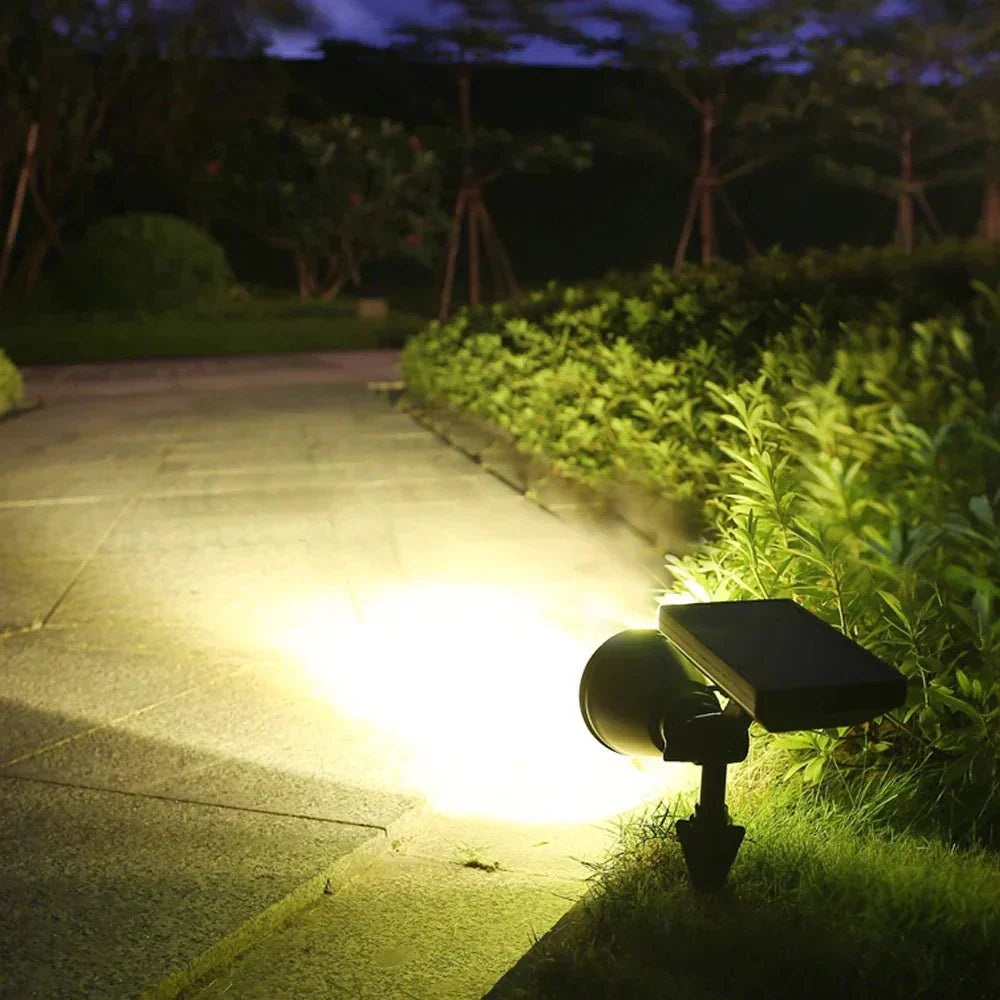 Éclat Racine | Lampe de jardin solaire pour une illumination d'ambiance dans le jardin