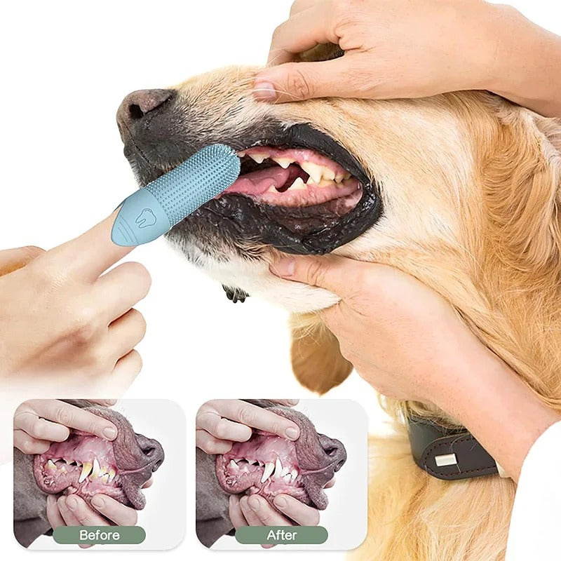 Floroux brosse à dents à 360° pour chiens | Soin dentaire efficace | Doux & Facile | Pour des dents de chien propres