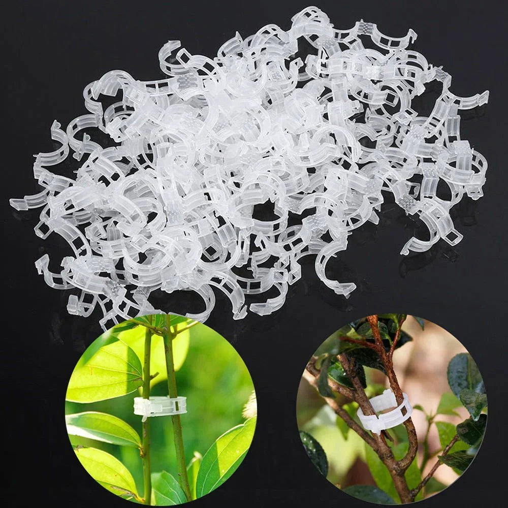 PlantSupport Clips | Améliorez votre expérience de jardinage
