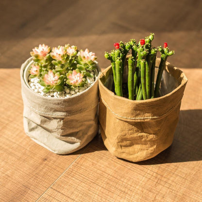 Floroux Planting Bag | Waterproof & Durable | Paper Plant Bag | Eco-Friendly & Stylish