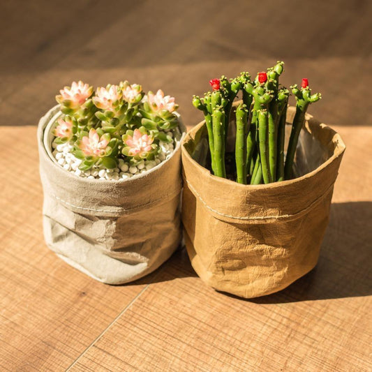 Floroux Planting Bag | Waterproof & Durable | Paper Plant Bag | Eco-Friendly & Stylish