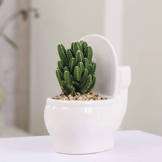 Floroux Succulent Holder in Ceramic | Handmade | Decorative Plant Stand for Bathroom