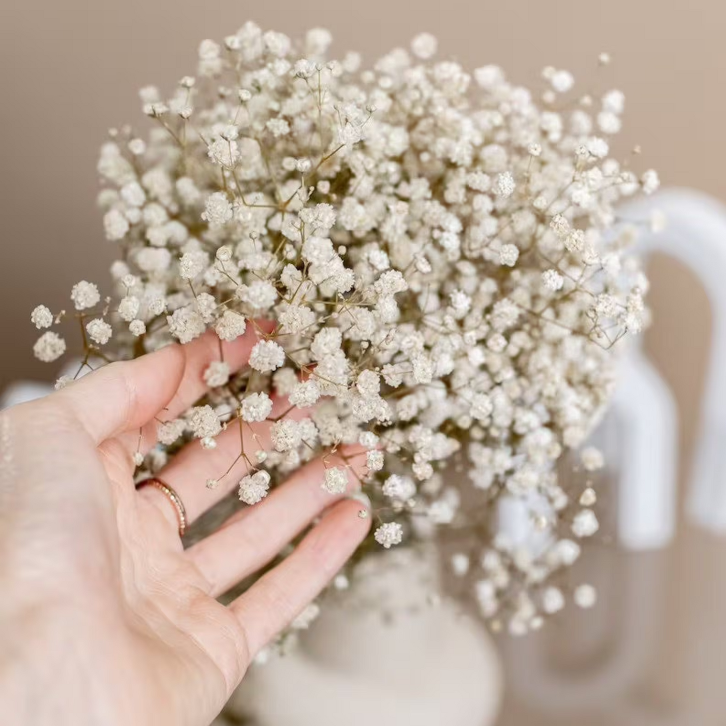 Floroux Dried Natural Gypsophila Flowers | Decorative Dried Flowers | Versatile Home & Event Decor