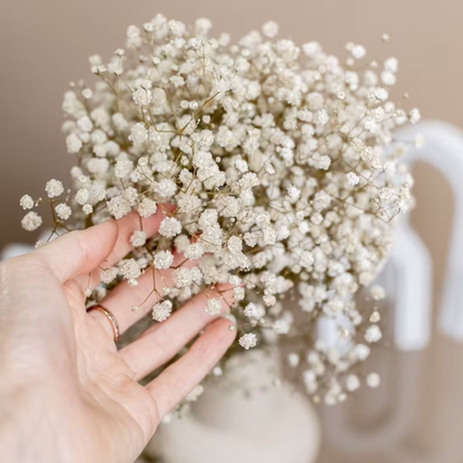 Floroux Dried Natural Gypsophila Flowers | Decorative Dried Flowers | Versatile Home & Event Decor