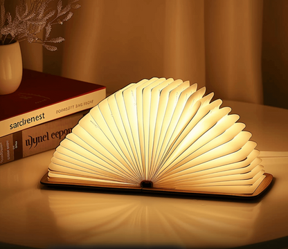 Lampe de livre lumière LED nuit