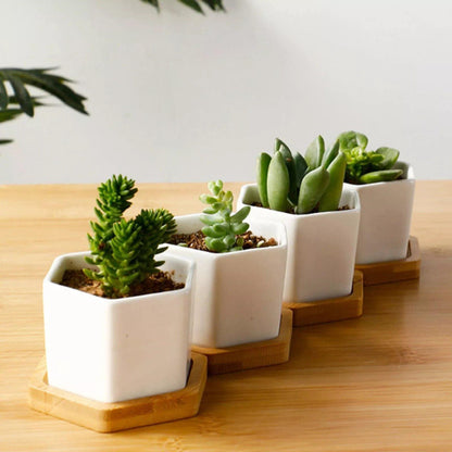Floroux ceramic plant container | With bamboo saucer | Modern design for succulents