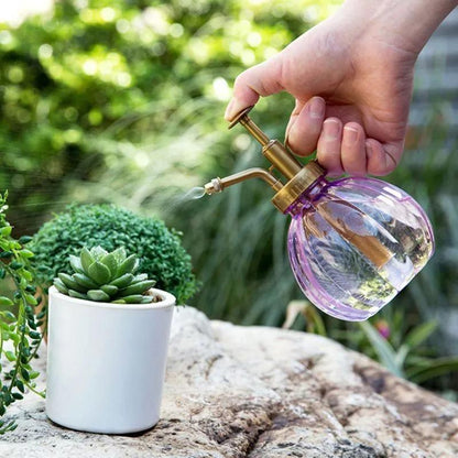 Floroux Vaporisateur de plantes en couleurs vives | Bouteille spray stylée pour l'entretien des plantes | Idéal pour les plantes d'intérieur